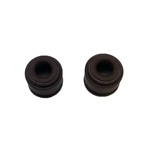 لاستیک گیت طرح ایروکس