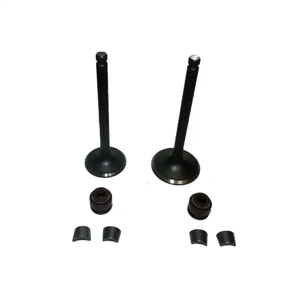 سوپاپ طرح کلیک با خار سوپاپ و لاستیک گیت