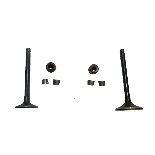 سوپاپ طرح ویو 135 با خار سوپاپ و لاستیک گیت